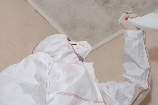 Best Home Mold Removal  in Crown Heights, NY